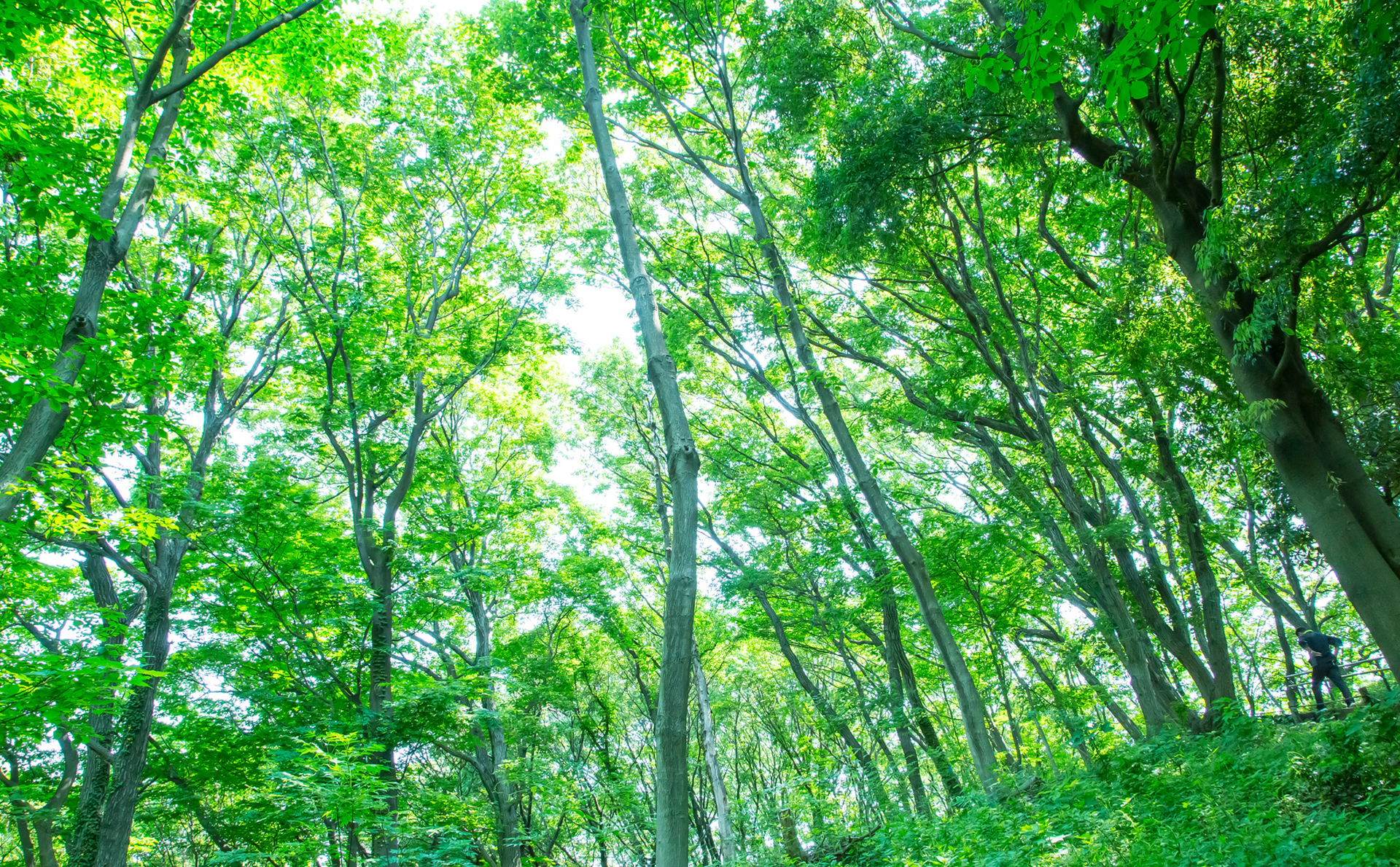 広島にある紙管工場です